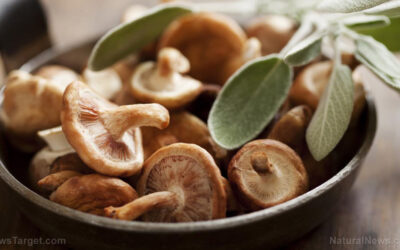 Nature’s pharmacy: How everyday foods arm the immune system against viral threats