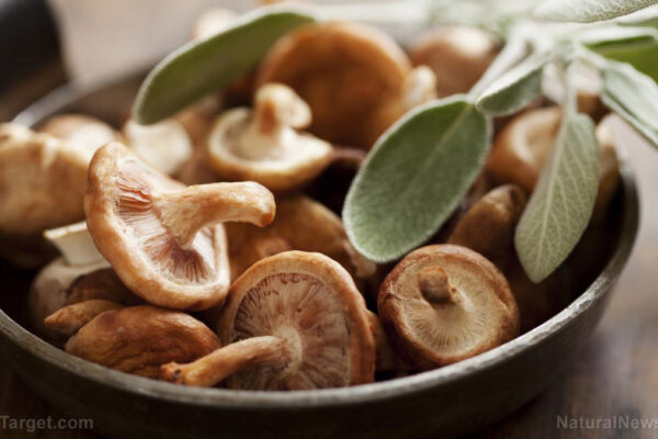 Nature’s pharmacy: How everyday foods arm the immune system against viral threats