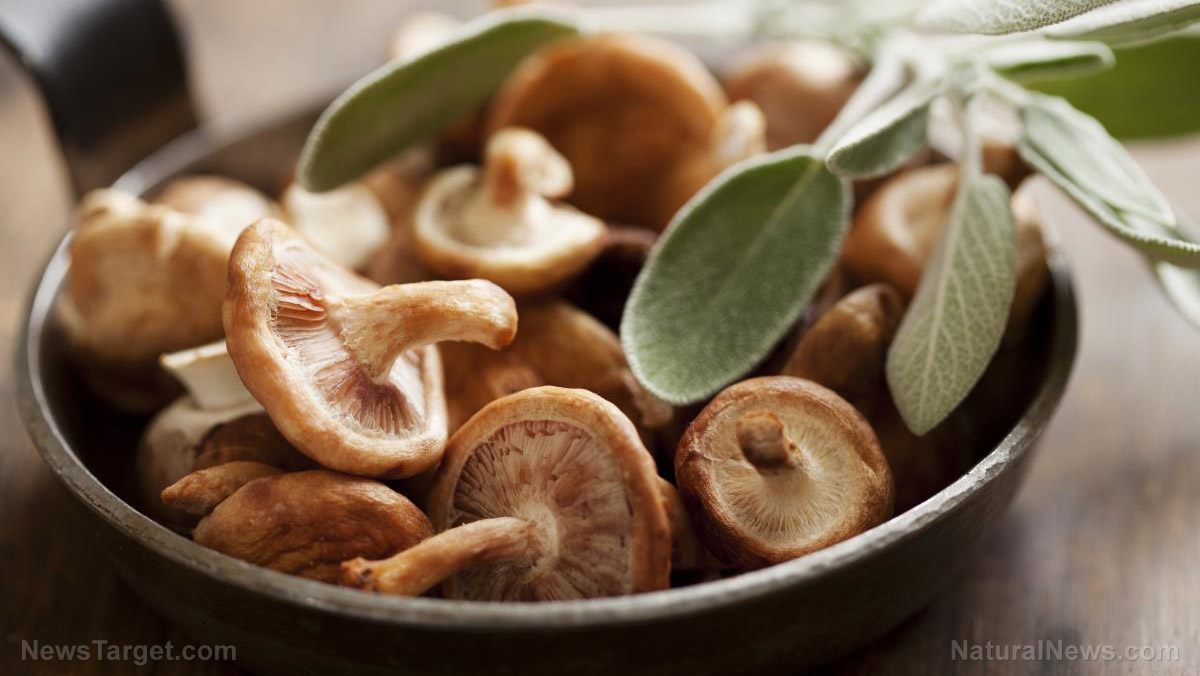 Nature’s pharmacy: How everyday foods arm the immune system against viral threats
