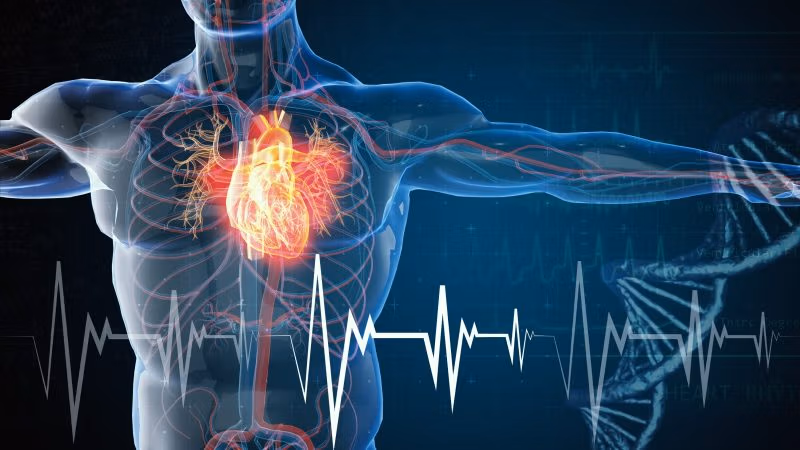 271 Teenage Cardiac Reports Buried in a File Labeled “Garbage”