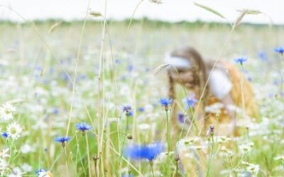 The Mindful Art Of Foraging