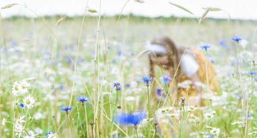 The Mindful Art Of Foraging