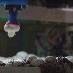 Five Canadian scaleups crack Thrive Top 50 AgTech Companies list