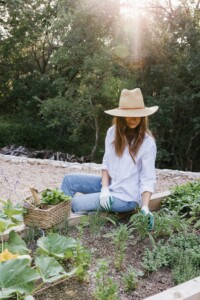 Want to Start an Herb Garden? These 5 Are Almost Impossible to Kill