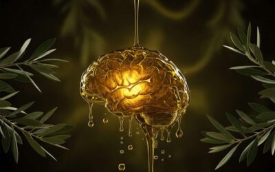 Unlocking Cognitive Longevity: How High-Polyphenol Extra Virgin Olive Oil Supercharges Your Aging Brain