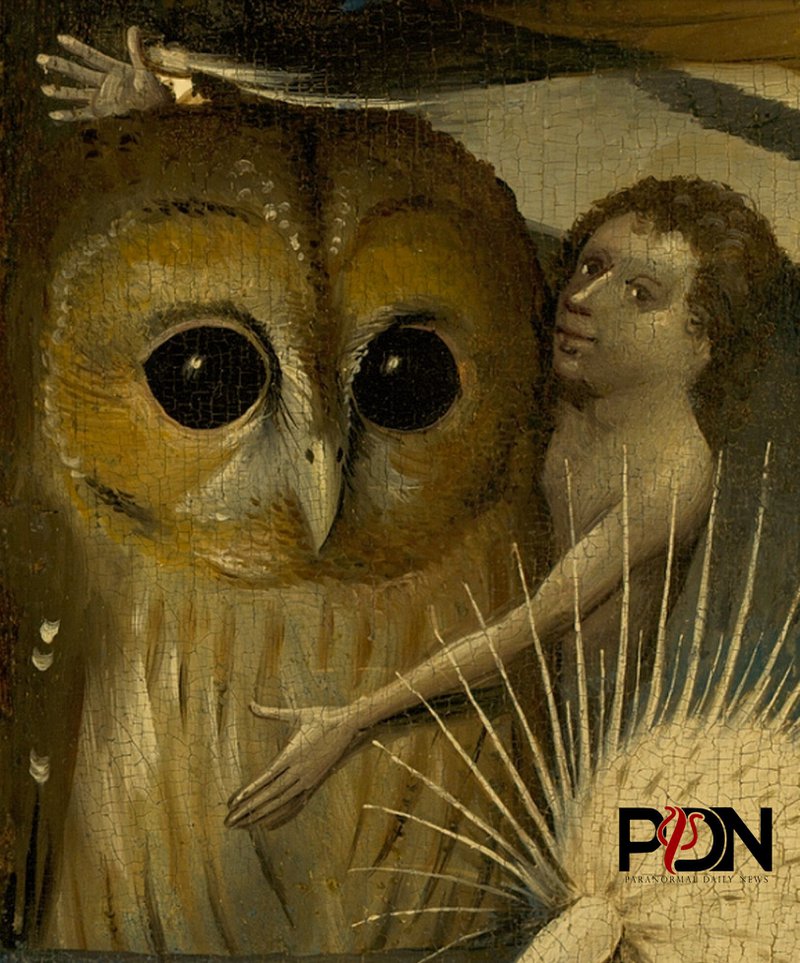 owl 2 a 4ab7b5c2bd1e3e35912fc572281424bf 800 Paranormal Daily News