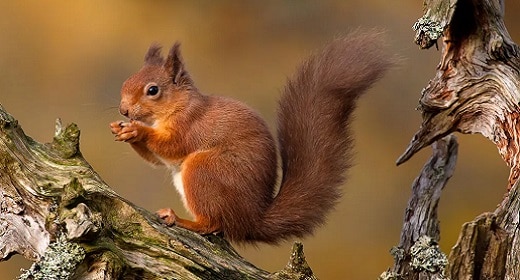 The Great Experiment To Put A Price On Nature