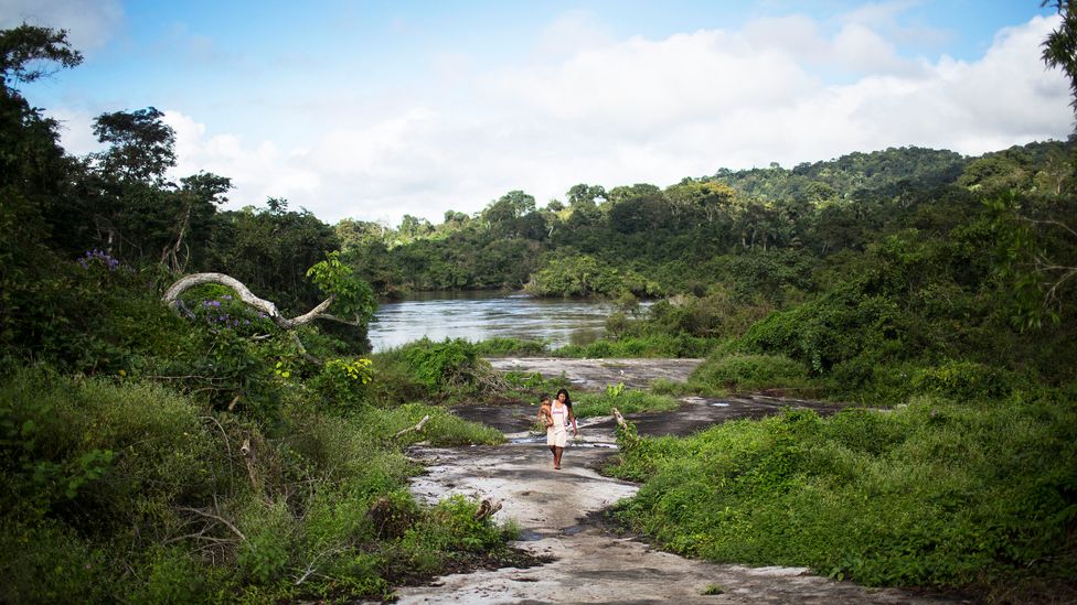 Some argue that not all of the value of ecosystems can be reduced to a dollar sum (Credit: Getty Images) Some argue that not all of the value of ecosystems can be reduced to a dollar sum (Credit: Getty Images)