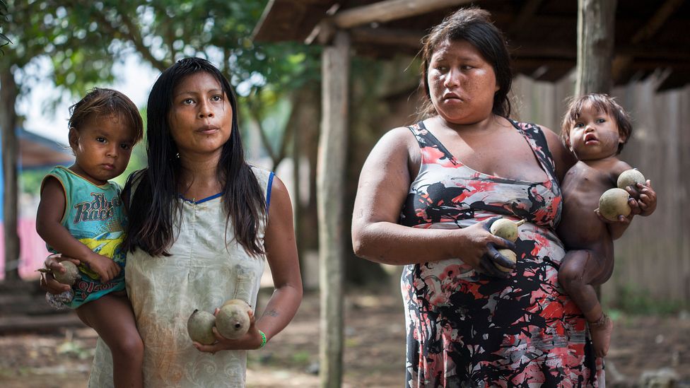 Indigenous communities have been found to be powerful guardians of some of the world's most biodiverse landscapes (Credit: Getty Images) Indigenous communities have been found to be powerful guardians of some of the world's most biodiverse landscapes (Credit: Getty Images)