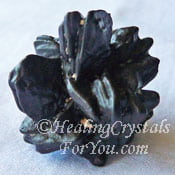 Use Prophecy Stone To Boost Prophetic Visions