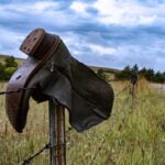 royharryman-cowboy-4564745_1920