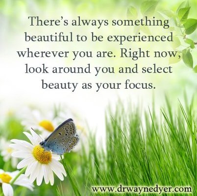 Wayne Dyers Mediations Wayne Dyers Mediations