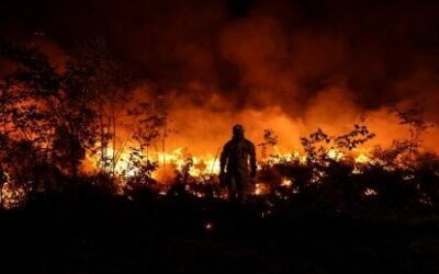 The System Being Built While the World Burns