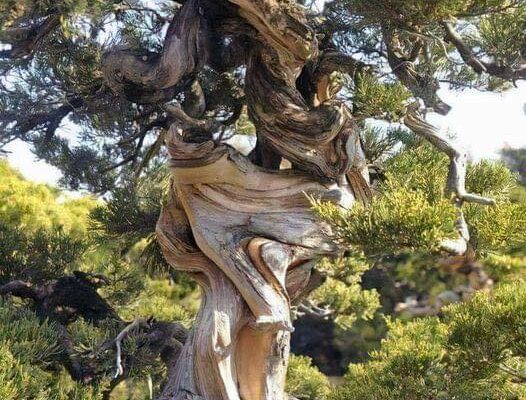 Our Sacred Planet Mother Earth in all of it’s Amazing Beauty and the Quote of the Day 124