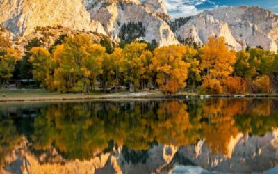 Our Sacred Planet Mother Earth in all of it’s Amazing Beauty and the Quote of the Day 127