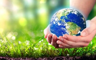 Save The Soil To Save The Environment