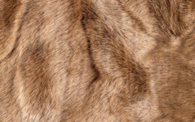 A 58-day protest campaign just convinced Etsy to ban fur