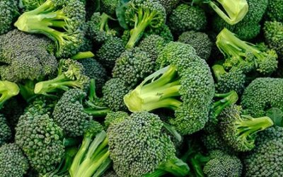 What Is Sulforaphane — And Why Is It So Good For You?