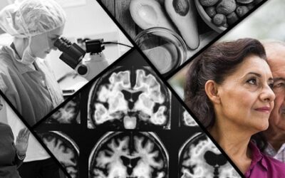 Harvard 80 Year Study – Good Genes Are Nice, But Joy Is Better