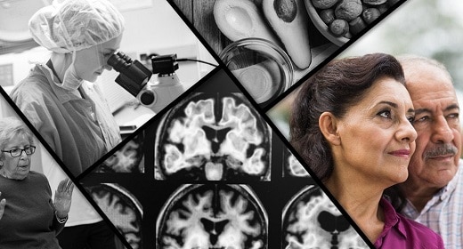 Harvard 80 Year Study – Good Genes Are Nice, But Joy Is Better