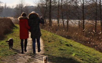 Untracked daily walking beats step goals, and science explains why