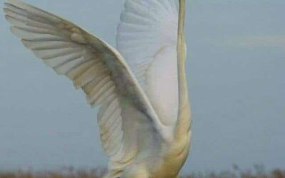 Our Sacred Planet Mother Earth in all of it’s Amazing Beauty and the Quote of the Day 123