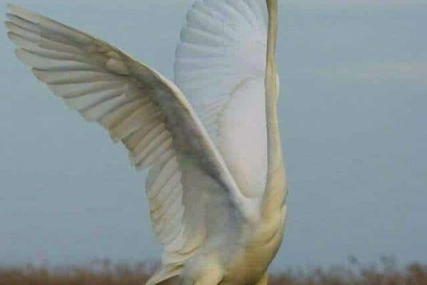 Our Sacred Planet Mother Earth in all of it’s Amazing Beauty and the Quote of the Day 123