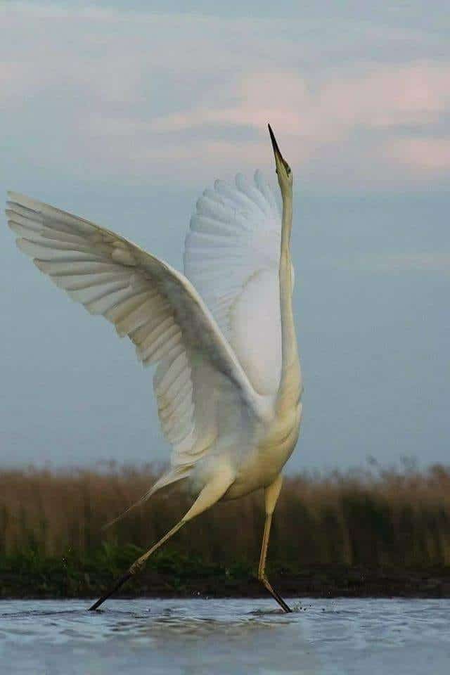 Our Sacred Planet Mother Earth in all of it’s Amazing Beauty and the Quote of the Day 123