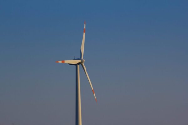 2025: The year renewables finally outpaced global electricity demand growth