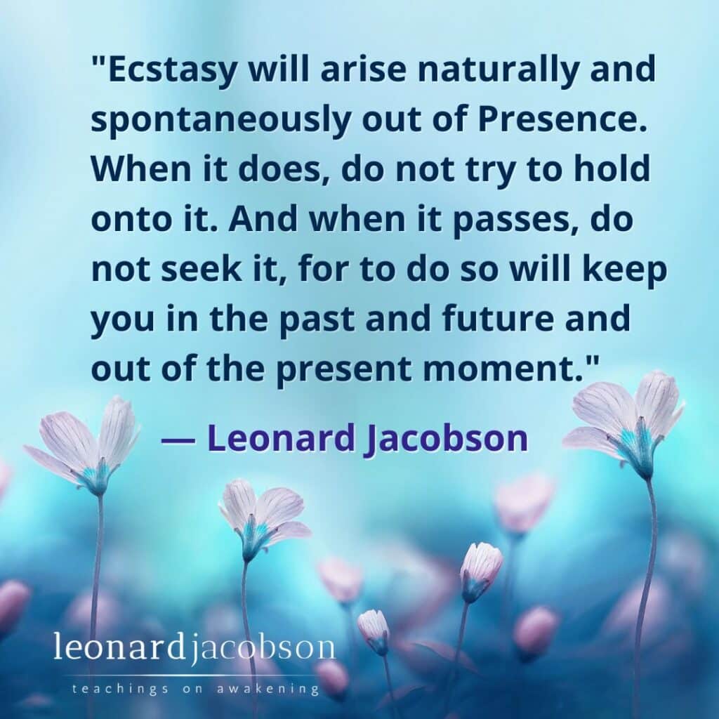 Leonard Quote 9-awaken