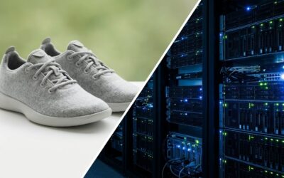 Allbirds AI Pivot: What the 600% Rally Really Means