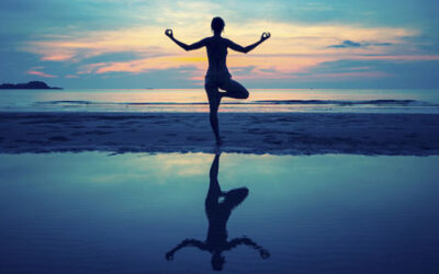 Awaken Interviews Sharon Salzberg Pt 3 – Balance As A Guiding Light