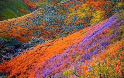Our Sacred Planet Mother Earth in all of it’s Amazing Beauty and the Quote of the Day 115