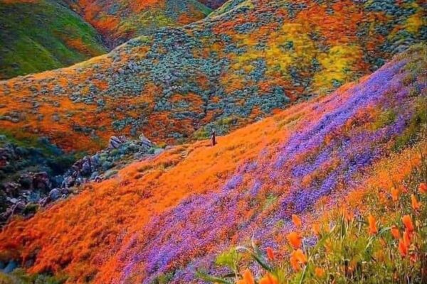 Our Sacred Planet Mother Earth in all of it’s Amazing Beauty and the Quote of the Day 115