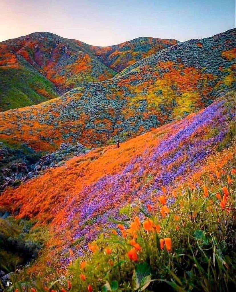 Our Sacred Planet Mother Earth in all of it’s Amazing Beauty and the Quote of the Day 115