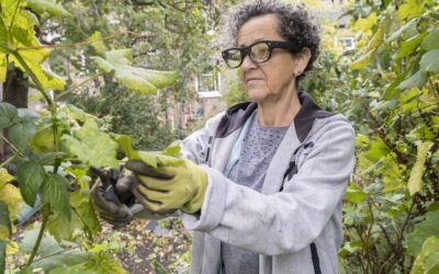 How AI-powered smart glasses could transform dementia care by 2027