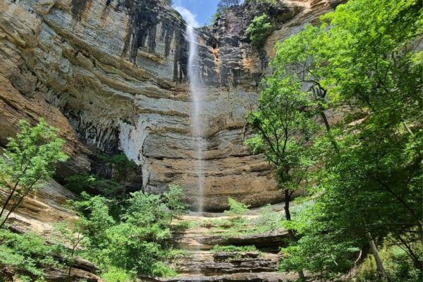 Our Sacred Planet Mother Earth in all of it’s Amazing Beauty and the Quote of the Day 99