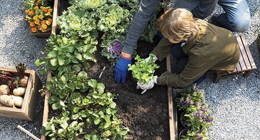 What Does Organic Mean?