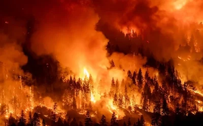 Overshoot: The World Is Hitting Point of No Return on Climate