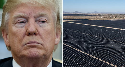 Trump’s attempt to crush clean energy progress not going to plan, experts say