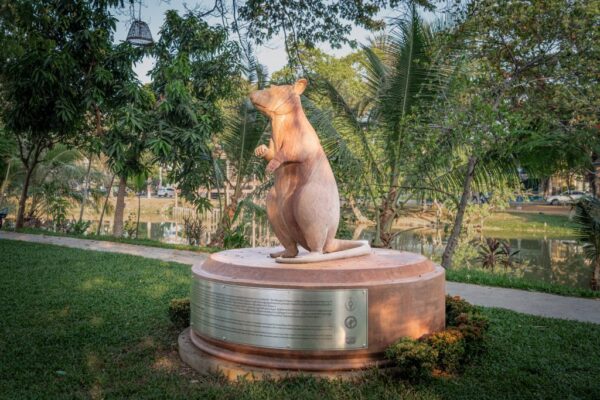 Cambodia honors the rat who cleared more landmines than anyone