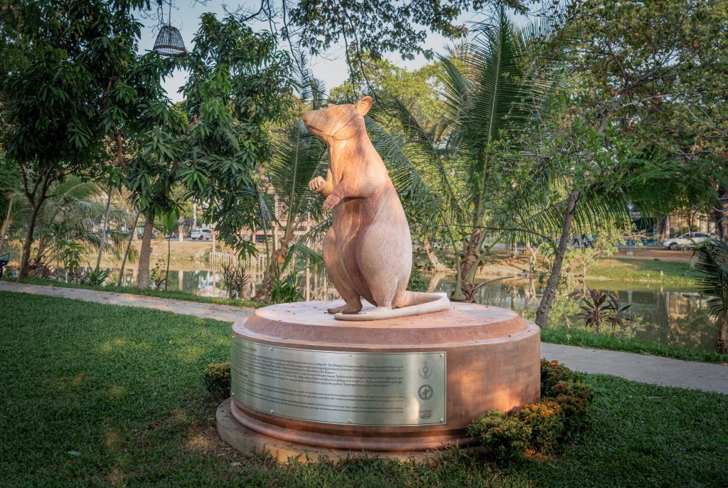 Cambodia honors the rat who cleared more landmines than anyone