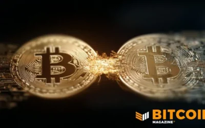 Tether Moves Over  Million in Bitcoin to Reserves, On-Chain Data Shows