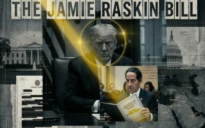 The Raskin Bill: When Presidential Capacity Becomes a Constitutional Emergency