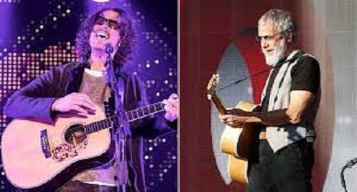 Chris Cornell / Cat Stevens – Wild World