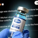 elon-musk-pfizer-covid-vaccine-1024x534-1