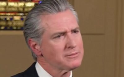 BEYOND PARODY: Gavin Newsom Spends  Million on Consulting Firm in Effort to Find Ways to Cut Waste