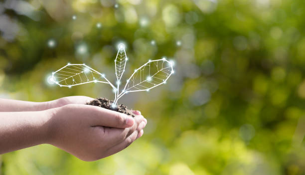 Preparing Future Generations for an Uncertain Future