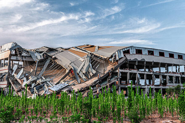What Experts Won’t Say: The 2026 Economy May Trigger an Irreversible Collapse by 2030