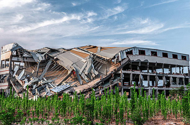 What Experts Won’t Say: The 2026 Economy May Trigger an Irreversible Collapse by 2030